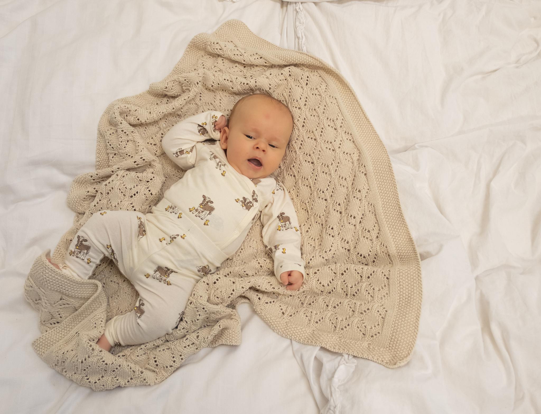That's Mine Kala strikket tæppe - Birch - 100% Bomuld(Økologisk) Buy Sovetid||Alle||Favoritter||personale||Baby essentials||alt minus sløjfe||NOOS||Plaid||Strikkede tæpper||mette-sale||Orderly Emails - Recommended Products||Bestsellers||Sengetøj og Soveposer here.