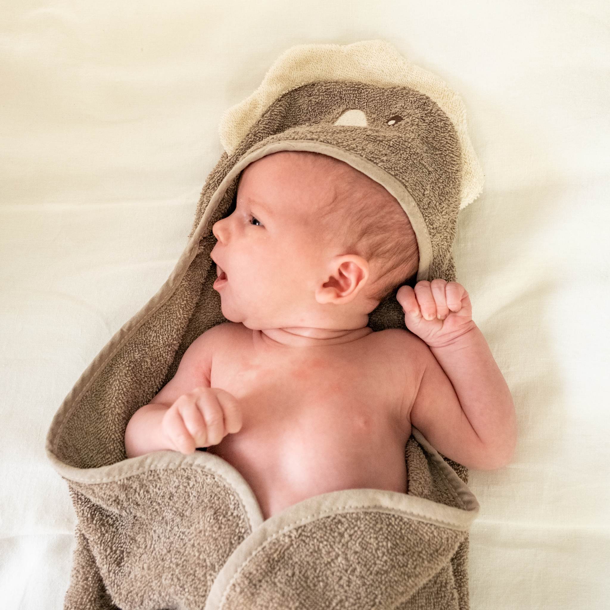 That's Mine Moly towel swaddle - Dino - 100% Organic cotton terry Buy Badetid||Håndklæder||Bolig & udstyr||Alle||Favoritter||personale||Newborn essentials||Efterår & vinter 2025||alt minus sløjfe||NOOS||AW25 NOOS||mette-sale||Dinosaurtøj & kostumer here.