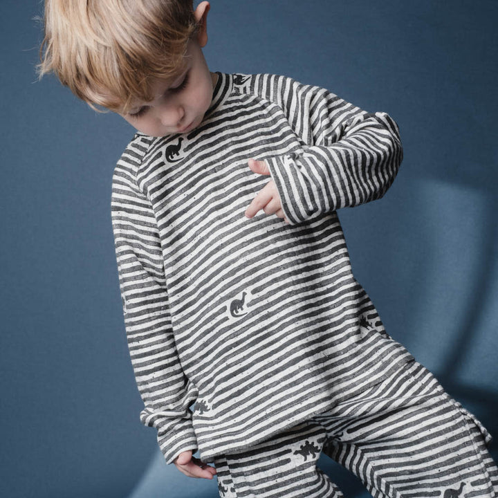 That's Mine Aksel t-shirt - Mono dino stripe - 95% Organic cotton, 5% Elastan Buy T-shirts||Overdele||Nyheder||personale||Efterår & vinter 2025||Dinosaurtøj & kostumer||Mono dino||drop 1 aw25||Jersey here.