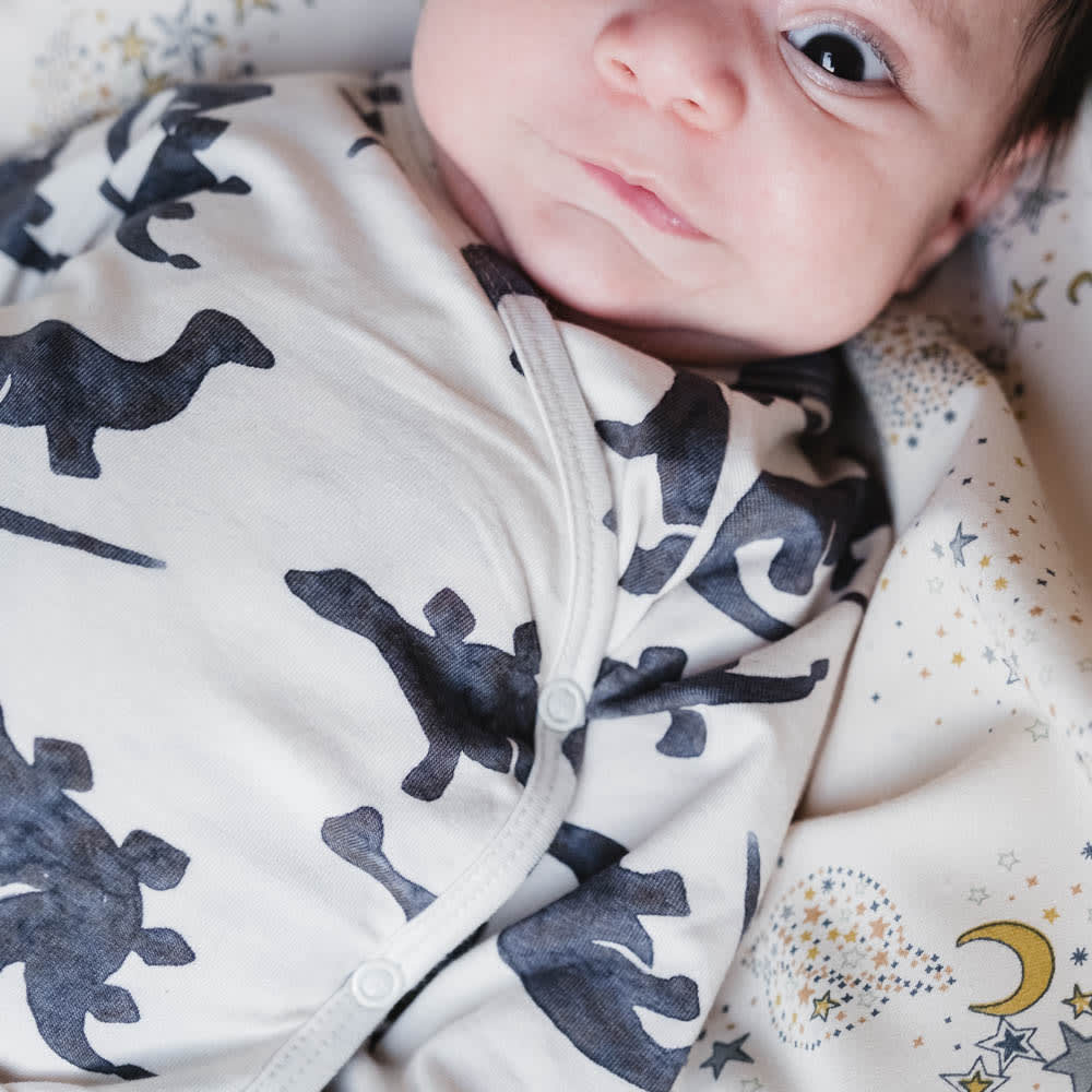 That's Mine Elimar slå-om bodystocking - Mono dino - 48% Organic cotton / 47% Modal / 5% Elastane Buy Tøj||Bodystockings||Undertøj||Alle||Favoritter||personale||Basics||Efterår & vinter 2025||alt minus sløjfe||NOOS||AW25 NOOS||mette-sale||Dinosaurtøj & kostumer||Mono dino here.