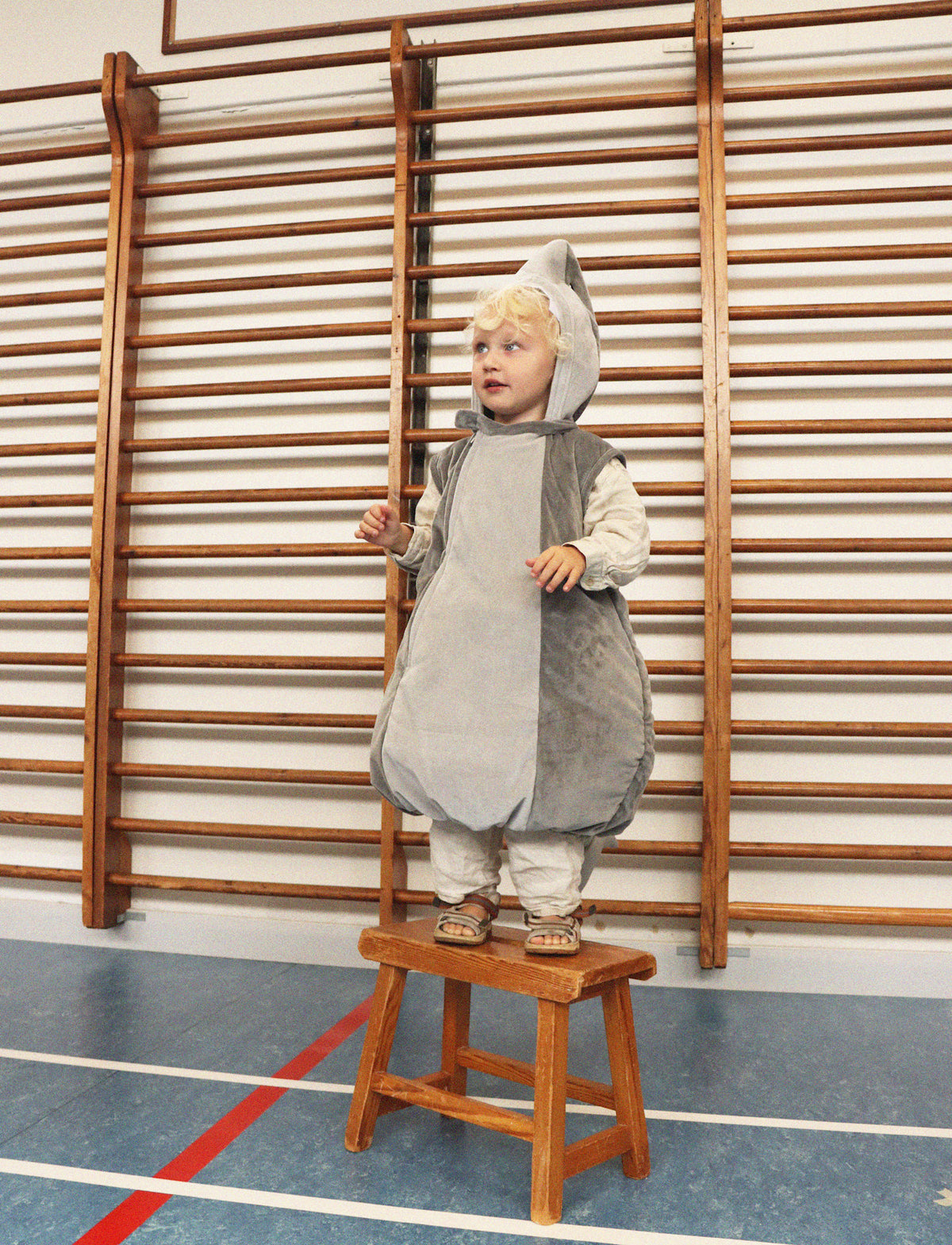 That's Mine Hank haj kostume - Silver Grey - Shell : 100% polyester / Lining: 100% cotton / Padding: 100% polyester Buy Legetid||Kostumer||Alle||Favoritter||personale||alt minus sløjfe||NOOS||mette-sale||Forår & sommer 2026||Orderly Emails - Recommended Products||All here.