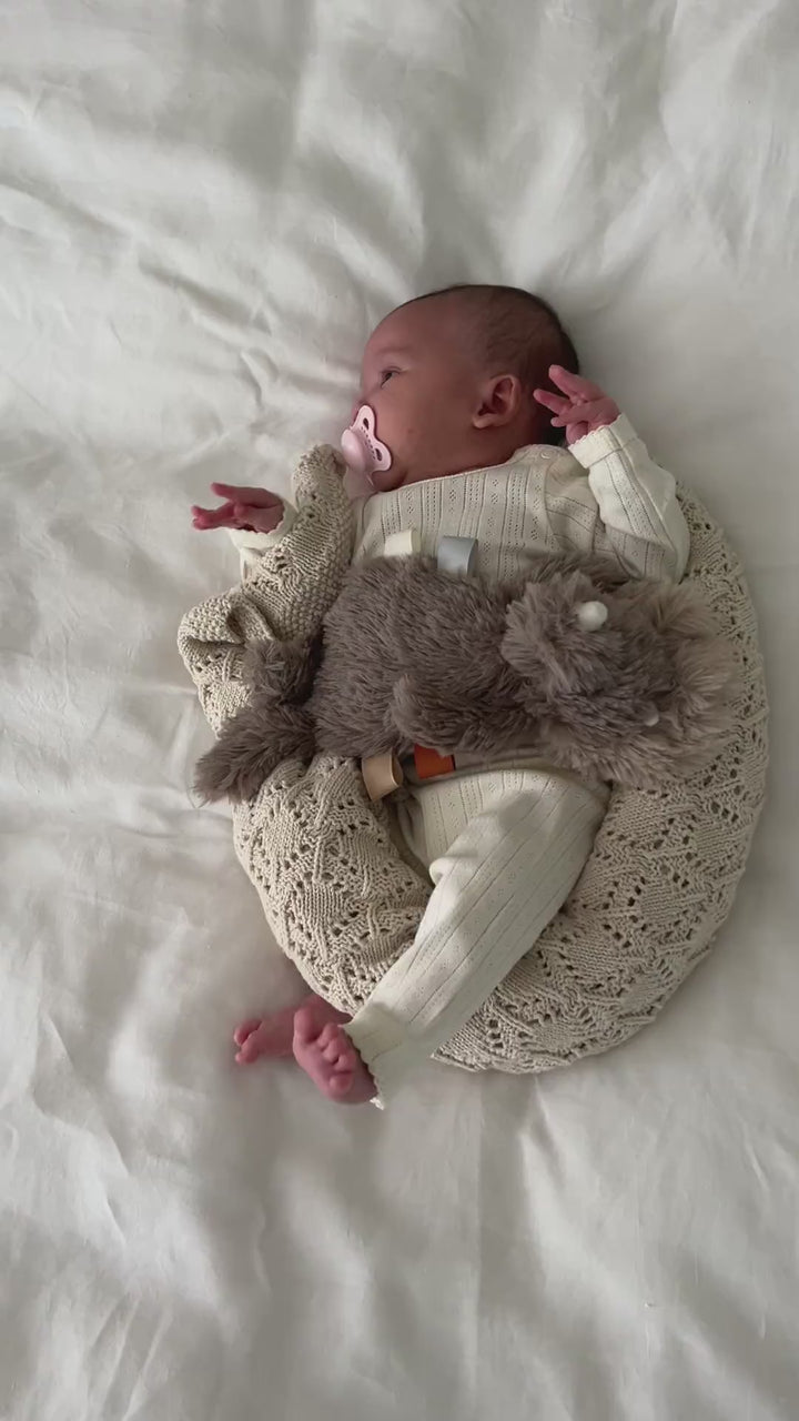 Houston tyngdebamse mini - Dino