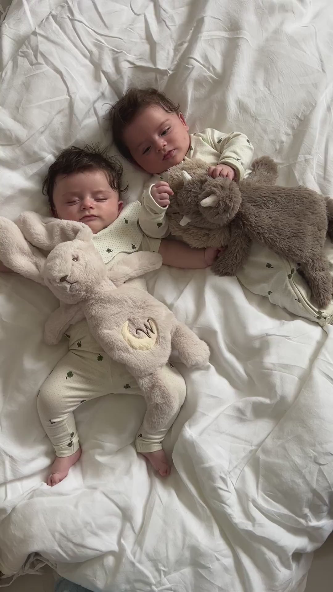 Houston tyngdebamse lille - Dino