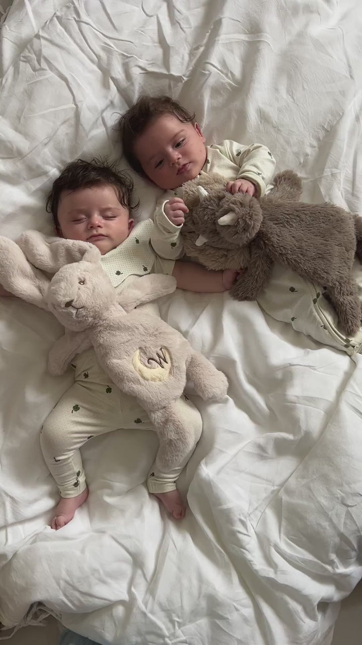 Houston tyngdebamse lille - Dino